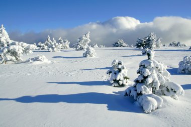 Winter landscape clipart