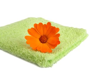 Calendula vücut bakımı