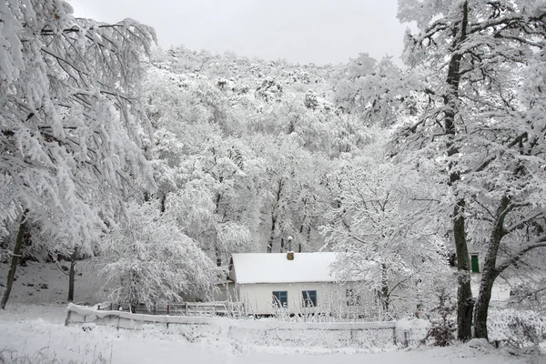 stock image House in the woods