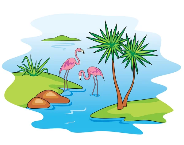 Pembe flamingo. — Stok Vektör