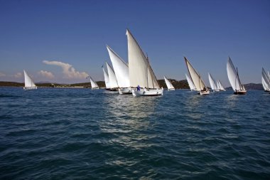 Traditional wooden sailboats