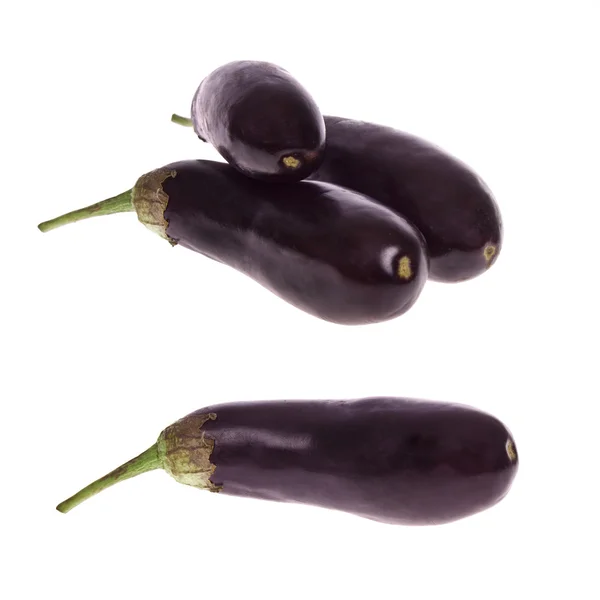 Aubergine, schwarz, — Stockfoto