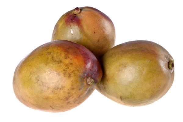 Owoce mango — Zdjęcie stockowe