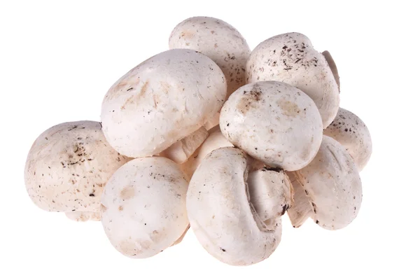 Mushrooms, white mushrooms, — Stock Photo, Image