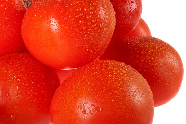Tomates, tomates , — Photo