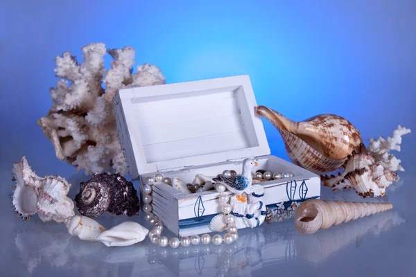 Caja con conchas marinas, coral y perlas Fotos De Stock Sin Royalties Gratis