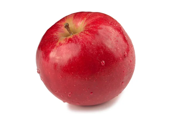 Червоне яблуко з краплями Стокове Фото