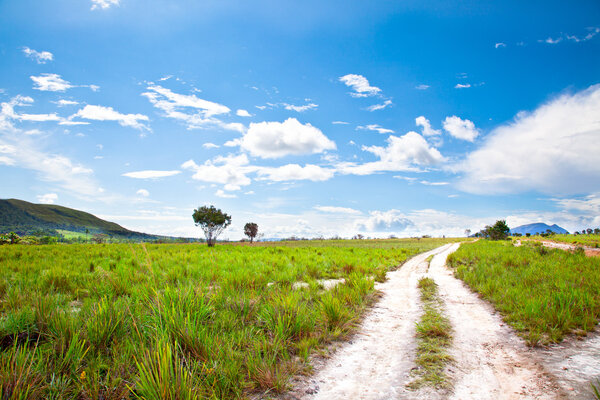 Проселочная дорога