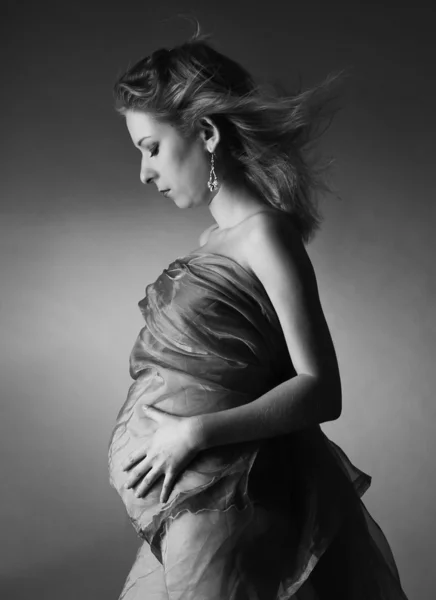Gravid – stockfoto