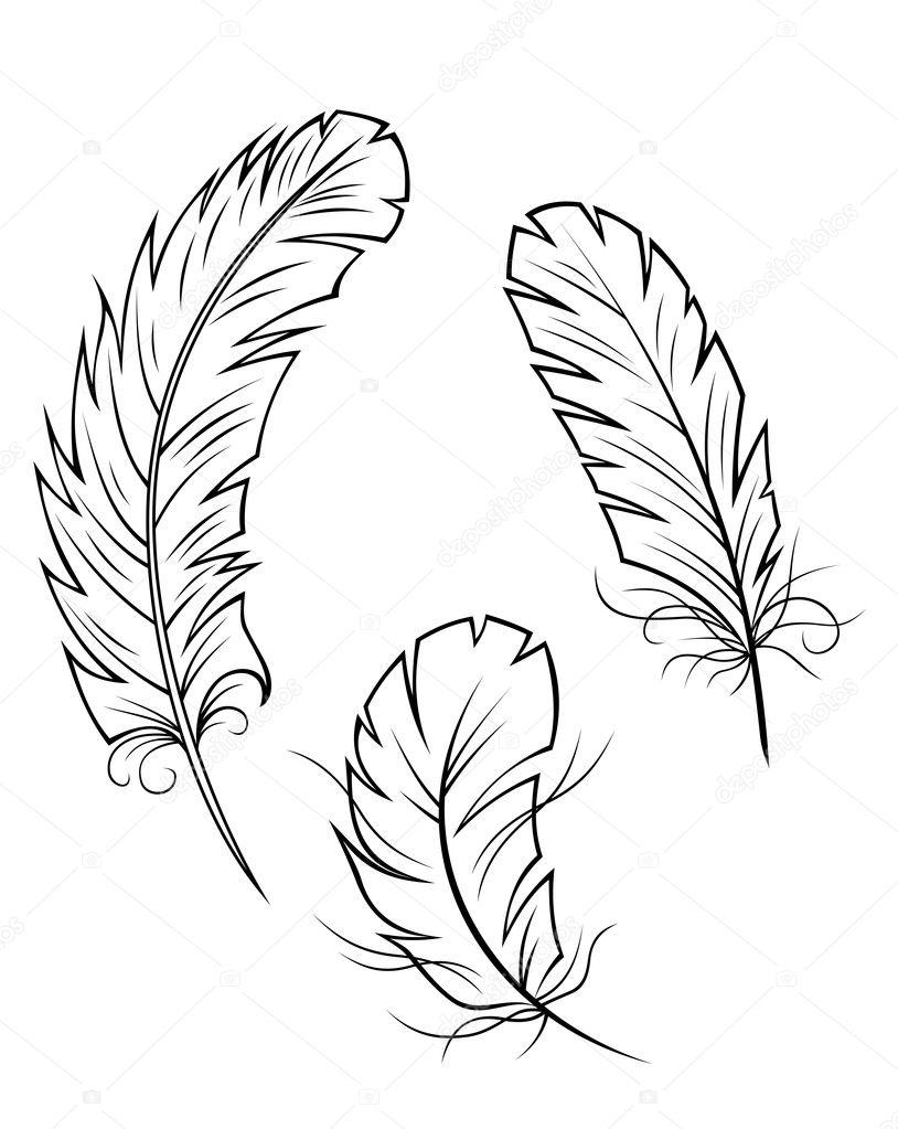 feather outline clip art
