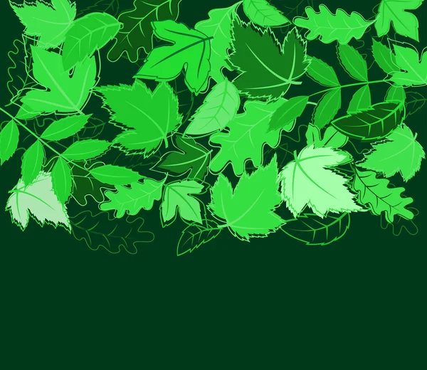 Latar belakang daun hijau musim semi - Stok Vektor