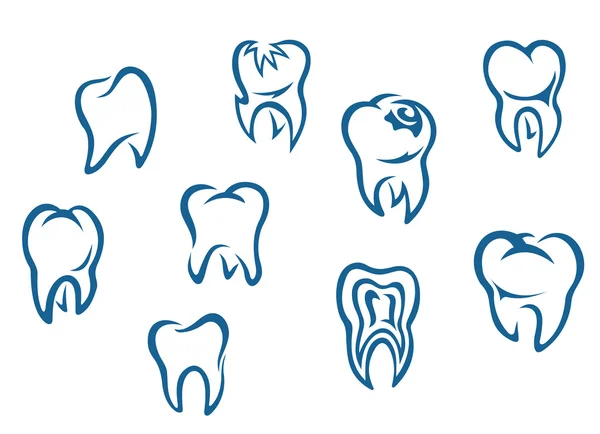 Set di denti umani — Vettoriale Stock