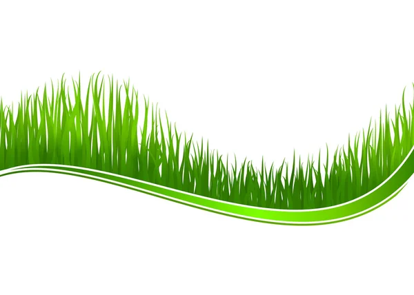 Fresh grass background — Stock Vector