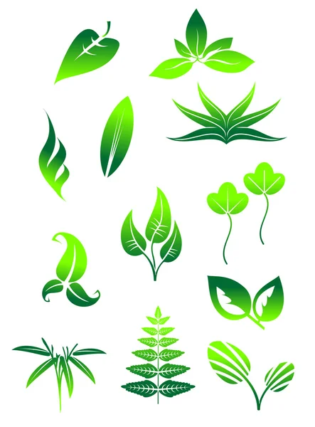 Parlak yeşil yaprak semboller — Stok Vektör