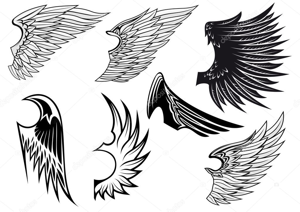Set of isolated heraldic wings