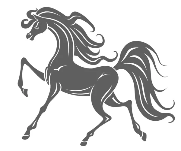Potro caballo salvaje — Vector de stock