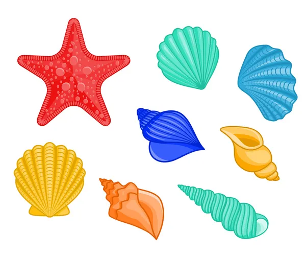 Seashells and sea star — Stock Vector