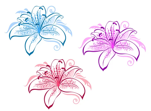 Lily bloemen — Stockvector