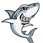 Great White shark Stock Vector Image by ©SlipFloat #7579480