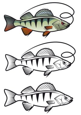 Perch fish clipart