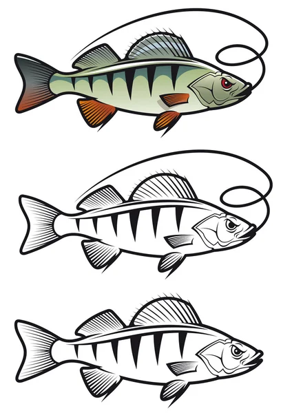 パーチの魚 — ストックベクタ