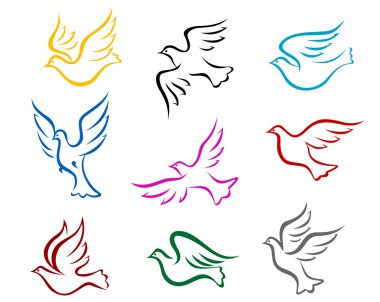 Pideons and doves clipart