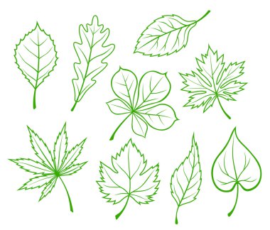 yeşil yaprakları silhouettes