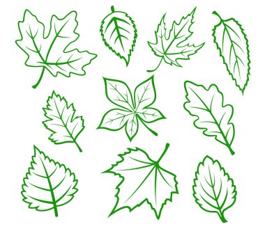 Green leaves set clipart
