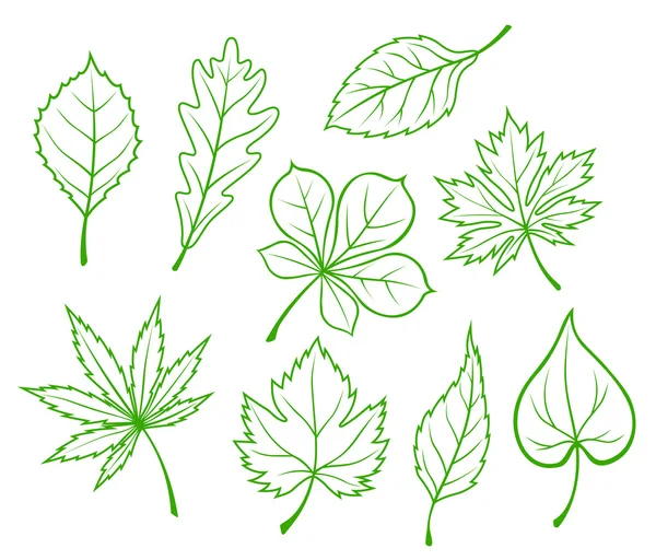 Siluetas de hojas verdes — Vector de stock