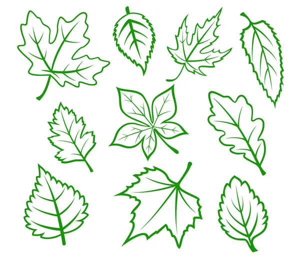 Conjunto de hojas verdes — Vector de stock