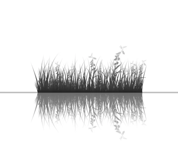 A víz fű — Stock Vector