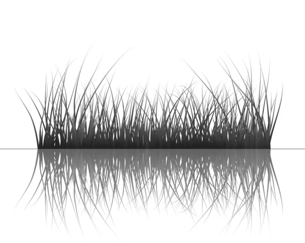 Su çimen — Stok Vektör