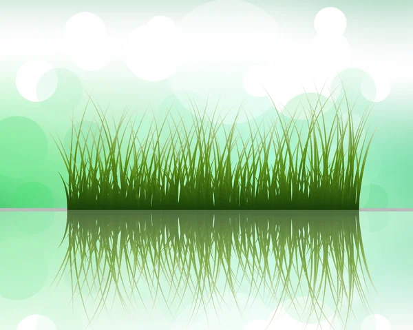 Grass on water — Stock Vector