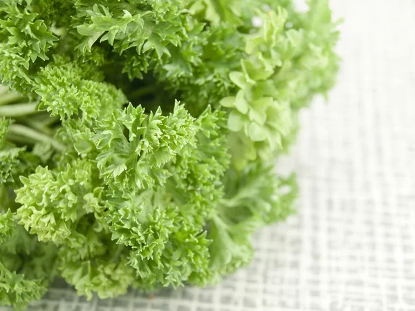 Bunch of parsley on a table — Stock Photo, Image