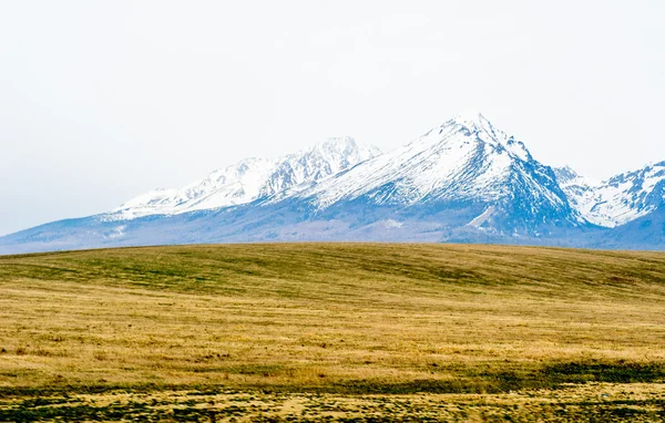 stock image Tatra mountains in spring