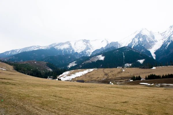Tatra mountains in spring — Stock Photo, Image