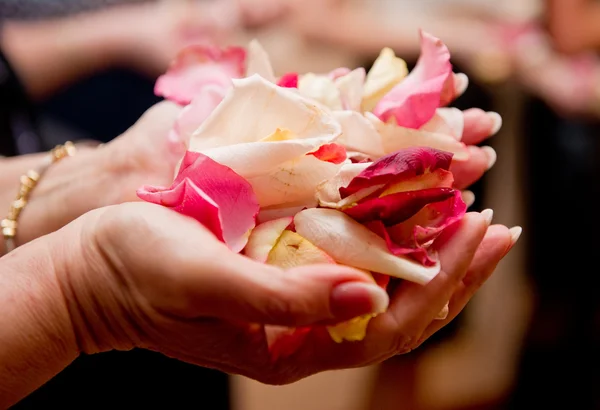 玫瑰花瓣放在女人的手 — 图库照片