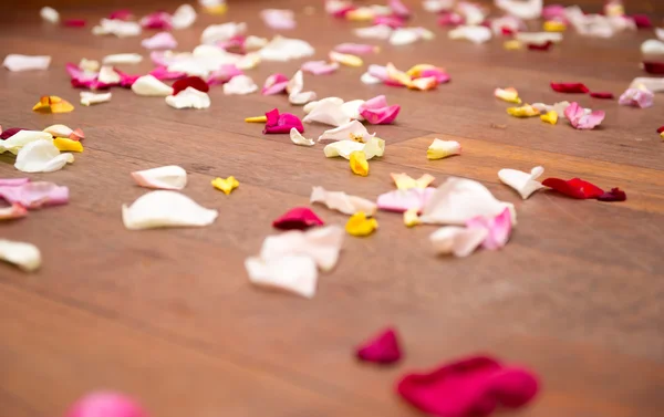 Rosenblätter auf dem Fußboden — Stockfoto