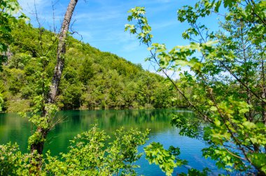 Plitvice Gölleri Milli Parkı Hırvatistan, güzel manzara