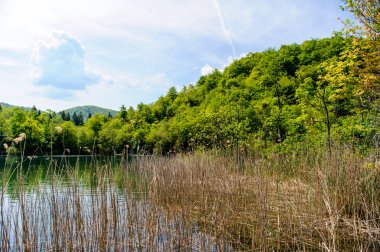 Plitvice Gölleri Milli Parkı Hırvatistan, güzel manzara