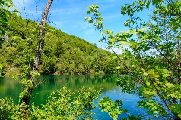 stock image Plitvice Lakes National Park in Croatia, beautiful landscape