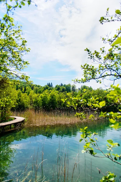 Parc national des lacs de Plitvice en Croatie, beau paysage — Photo