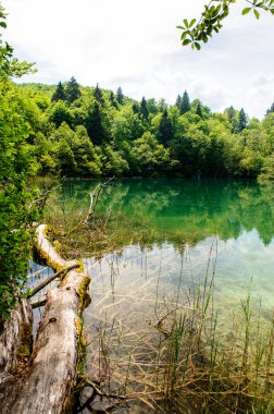 Plitvice Gölleri Milli Parkı Hırvatistan, güzel manzara