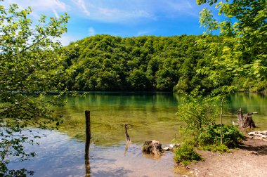 Plitvice Gölleri Milli Parkı Hırvatistan, güzel manzara