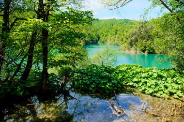 Plitvice Gölleri Milli Parkı Hırvatistan, güzel manzara