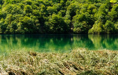 Plitvice Gölleri Milli Parkı Hırvatistan, güzel manzara