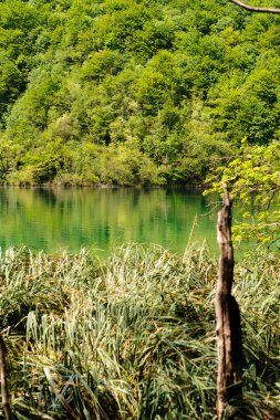 Plitvice Gölleri Milli Parkı Hırvatistan, güzel manzara