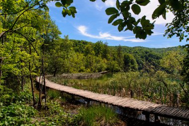 Plitvice Gölleri Milli Parkı Hırvatistan, güzel manzara