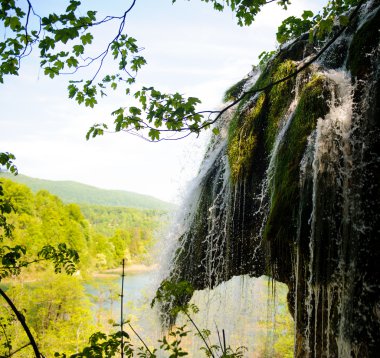 plitvice gölleri Milli Parkı içinde Hırvat içinde güzel bir şelale