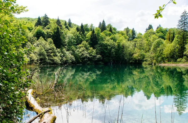 Parco Nazionale dei Laghi di Plitvice in Croazia, bellissimo paesaggio — Foto Stock